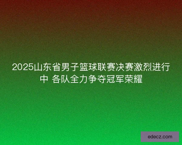 2025山东省男子篮球联赛决赛激烈进行中 各队全力争夺冠军荣耀