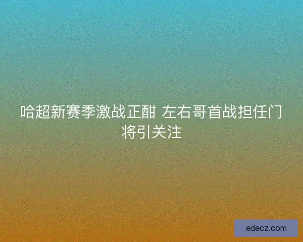 哈超新赛季激战正酣 左右哥首战担任门将引关注