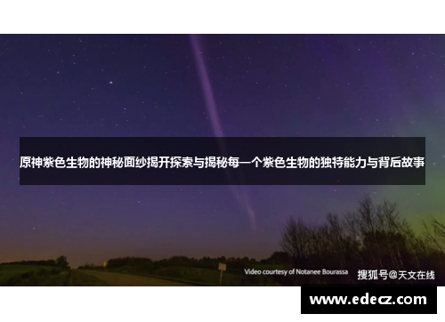 原神紫色生物的神秘面纱揭开探索与揭秘每一个紫色生物的独特能力与背后故事