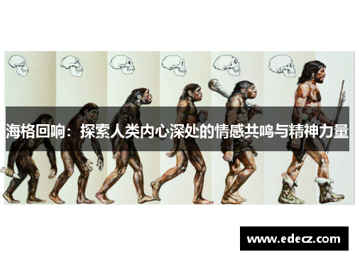海格回响：探索人类内心深处的情感共鸣与精神力量