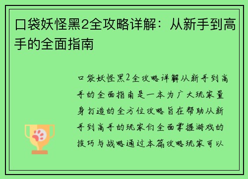 口袋妖怪黑2全攻略详解：从新手到高手的全面指南